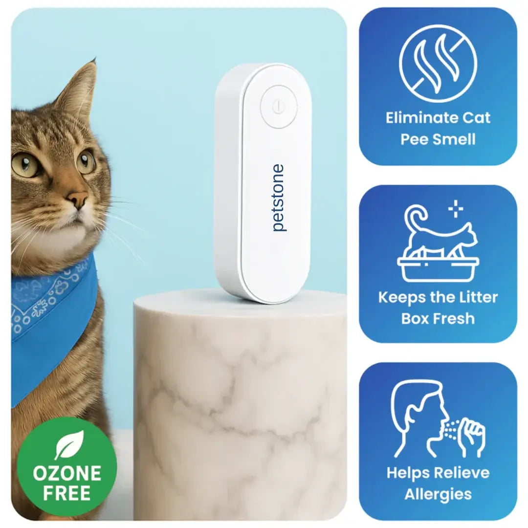 Front of the Petstone Cat Litter Box Air Purifier, a compact plug-in ionic device