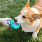 2 in 1 stainless steel portable dog bowl