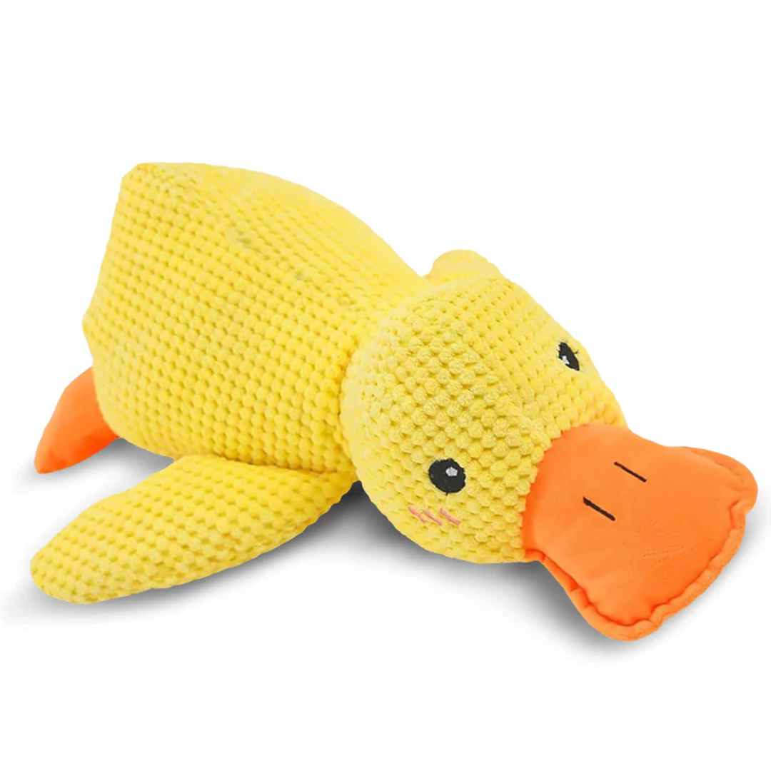 Calming Duck Toy