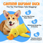 Calming Duck Toy