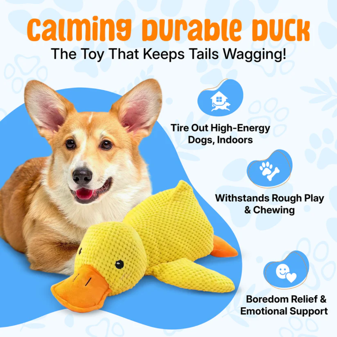 Calming Duck Toy