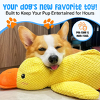 Calming Duck Toy