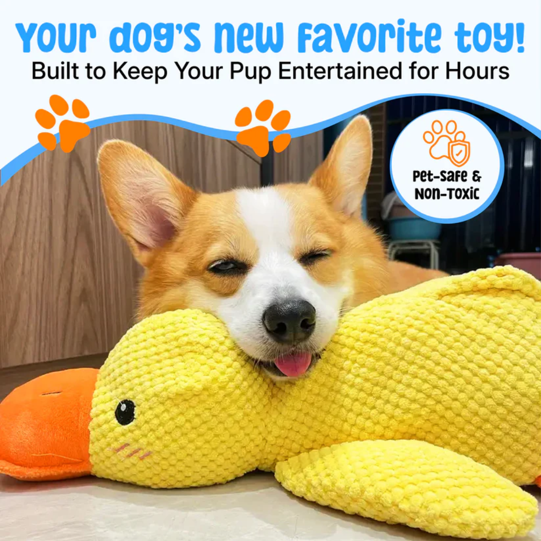 Calming Duck Toy