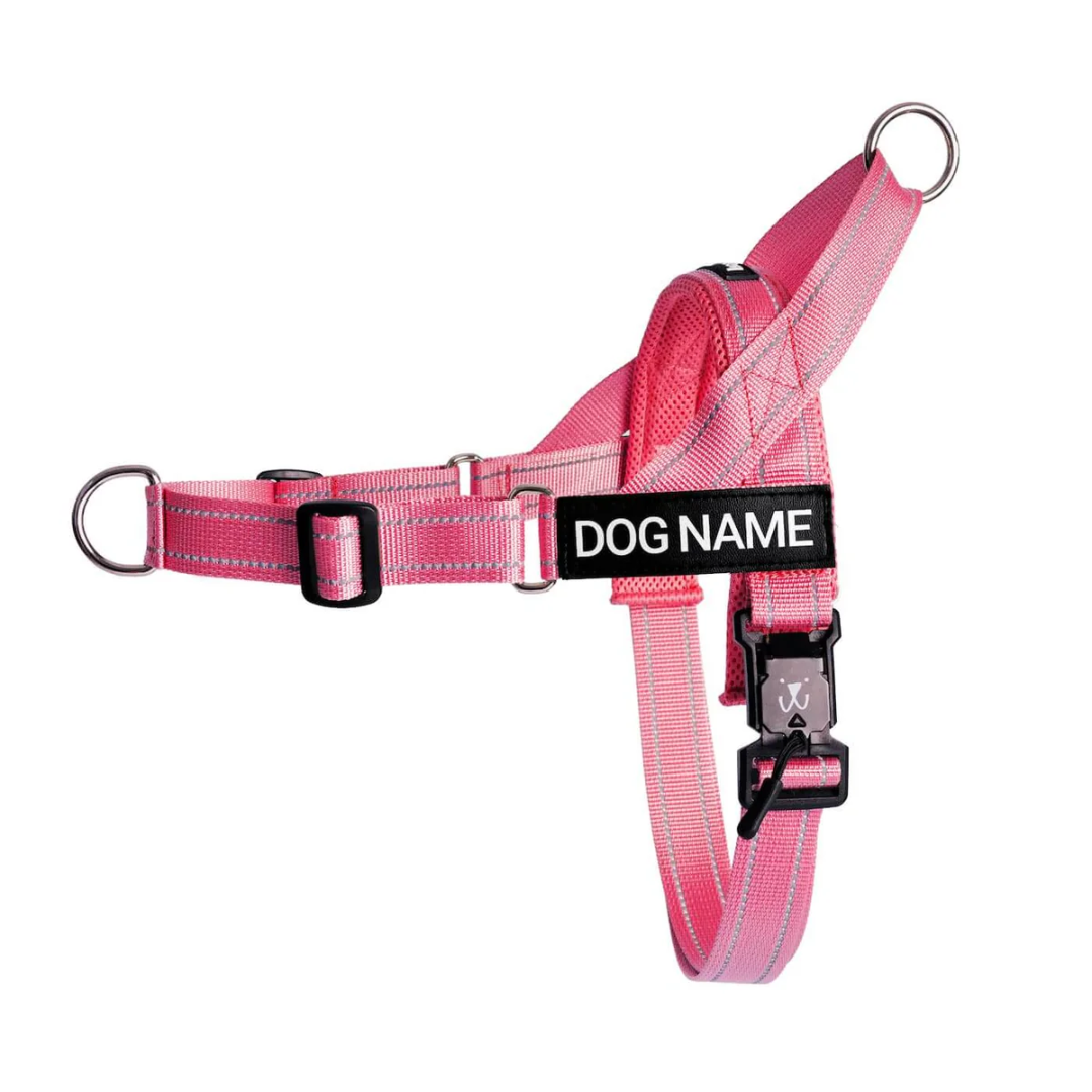 EasyFit No pull Personalized dog harness – Petstone