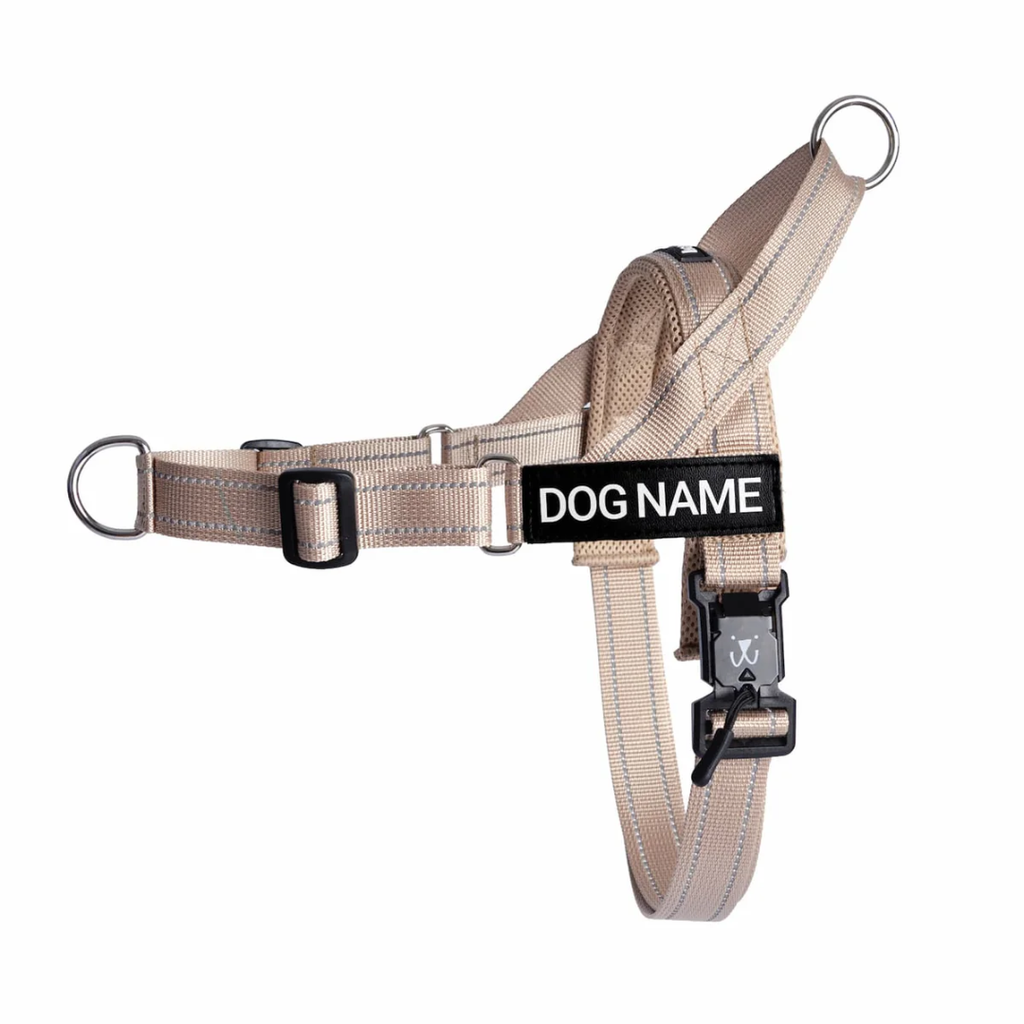EasyFit No pull Personalized dog harness