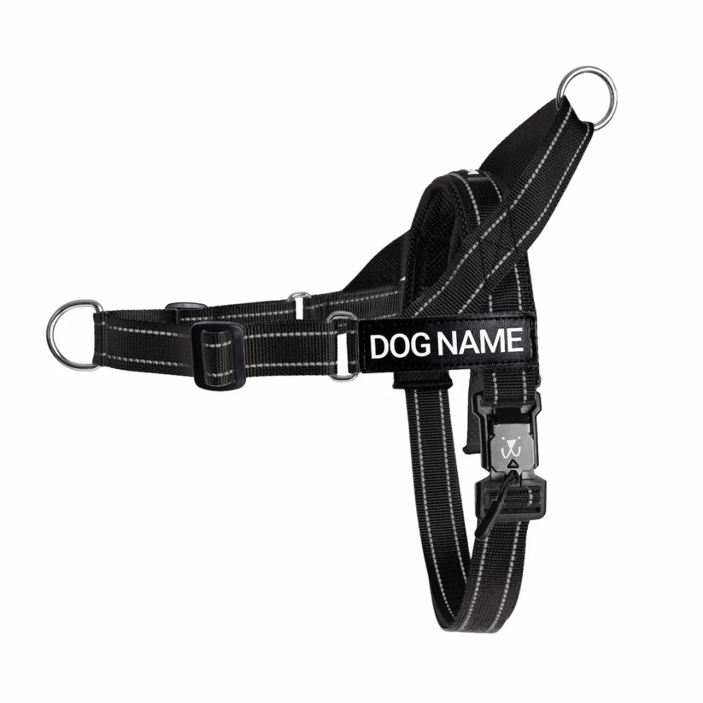 EasyFit No pull Personalized dog harness