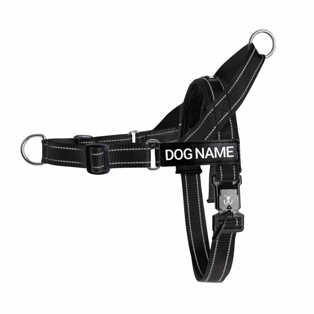 EasyFit No pull Personalized dog harness