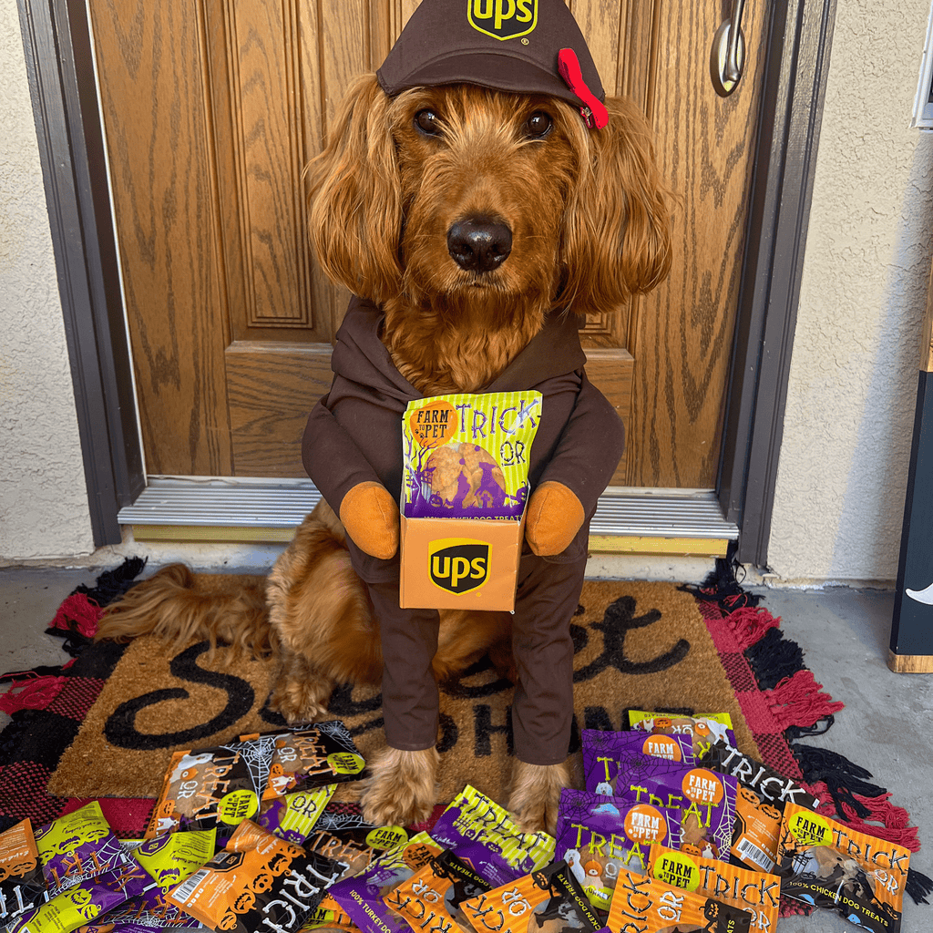 Dog holding a Farm To Pet Halloween snack pack