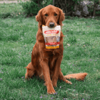 Dog holding a 4oz bag of hormone-free chicken chip dog treats in its mouth.