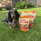 Dog sitting beside 4oz and 12oz bags of chicken chip dog treats.