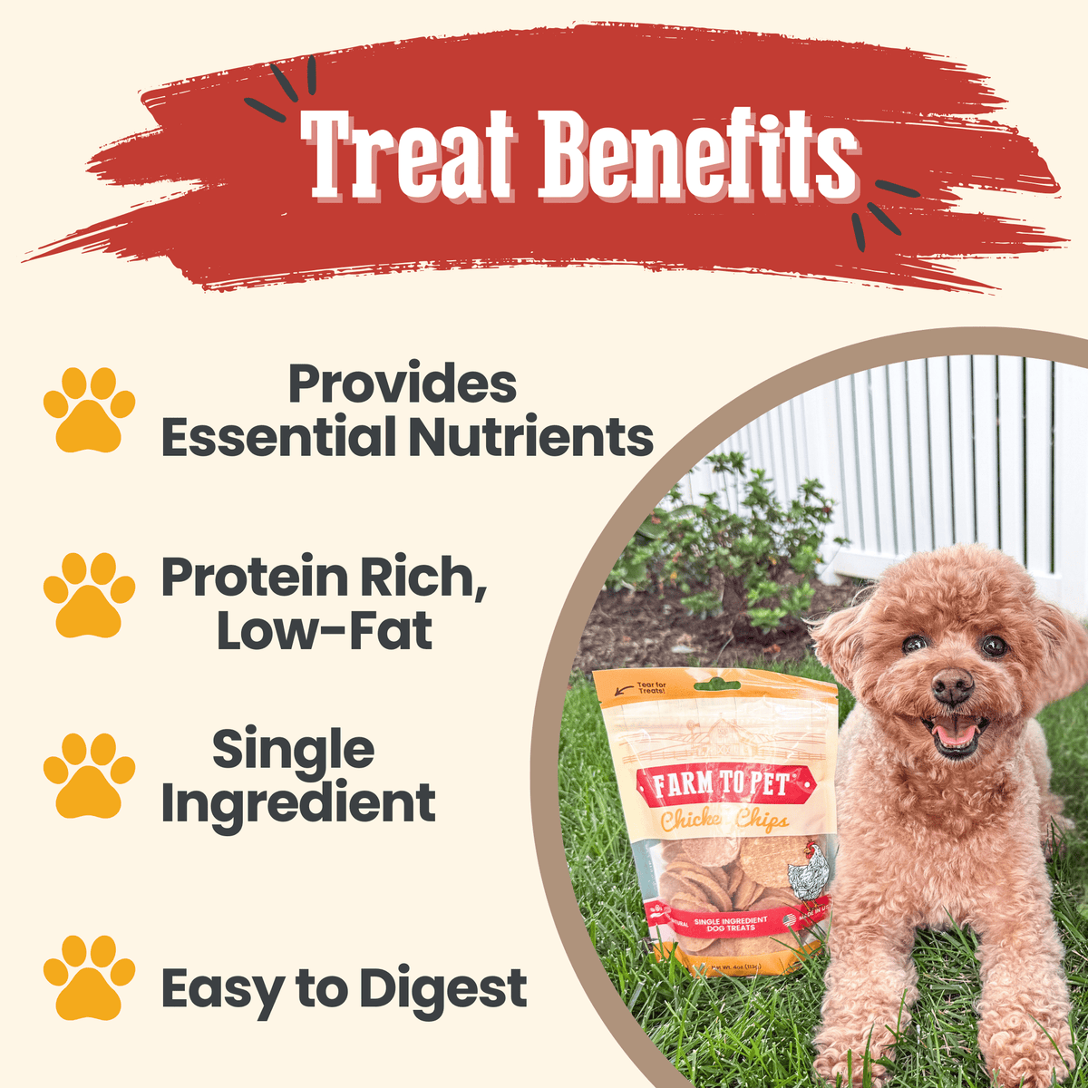 Benefits of USA-made chicken chip dog treats: single ingredient, high protein, low fat, grain free.