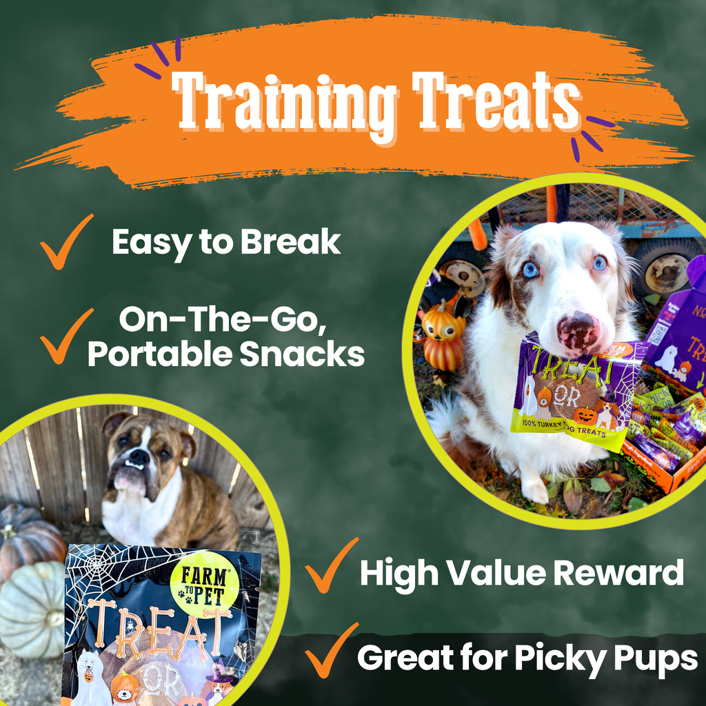 Farm To Pet single-ingredient Halloween chips used as training treats