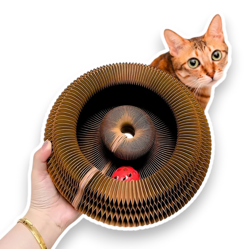 Pawsome Spinner Innteractive Toy