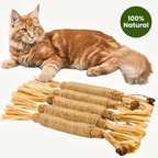 Natural Japanese Silver Vine Chewing Sticks