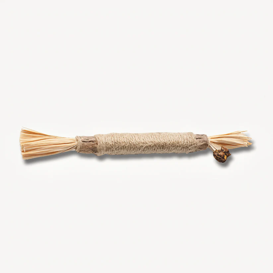 Natural Japanese Silver Vine Chewing Sticks