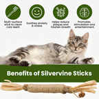 Natural Japanese Silver Vine Chewing Sticks