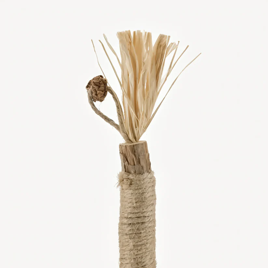 Natural Japanese Silver Vine Chewing Sticks