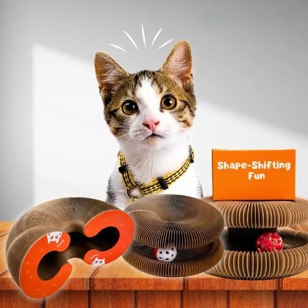 Pawsome Spinner Innteractive Toy