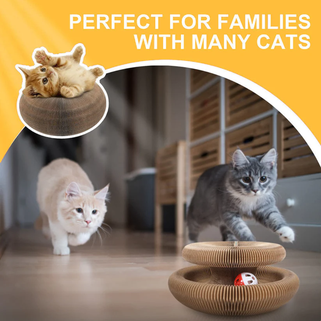Pawsome Spinner Innteractive Toy