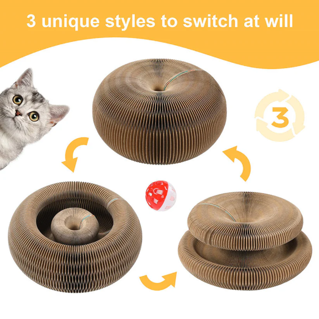 Pawsome Spinner Innteractive Toy