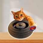 Pawsome Spinner Innteractive Toy