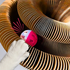 Pawsome Spinner Innteractive Toy
