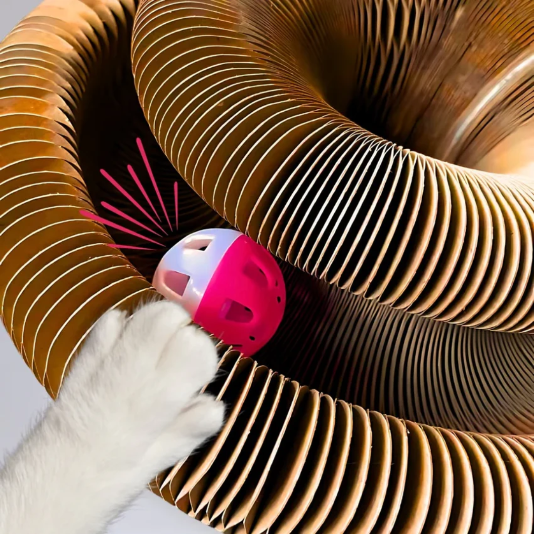 Pawsome Spinner Innteractive Toy