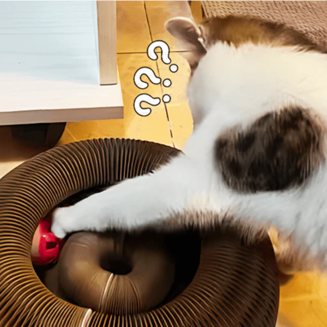Pawsome Spinner Innteractive Toy
