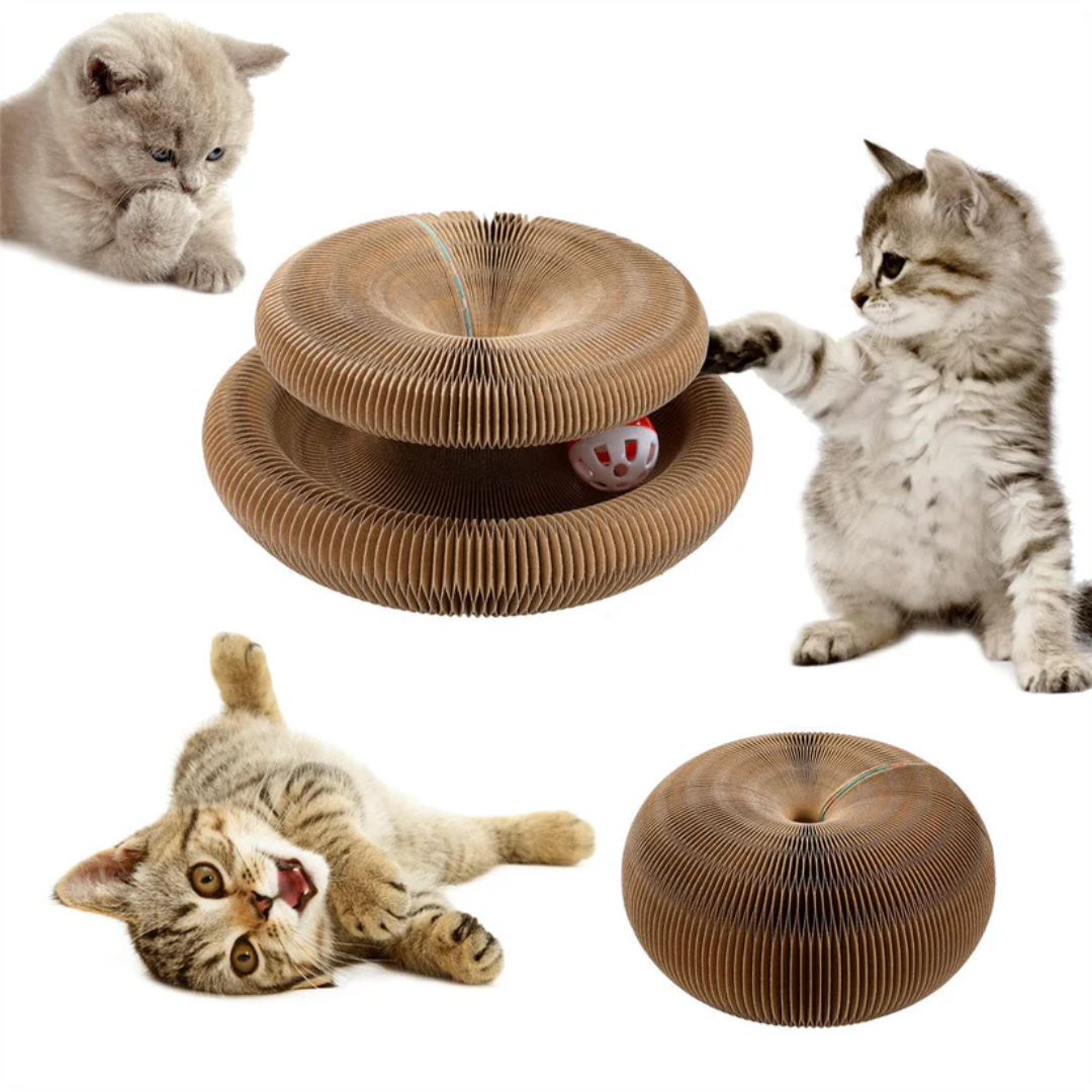 Pawsome Spinner Innteractive Toy