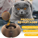 Pawsome Spinner Innteractive Toy
