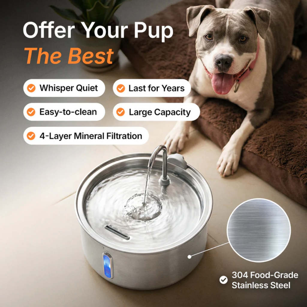 Pet Water Fountain