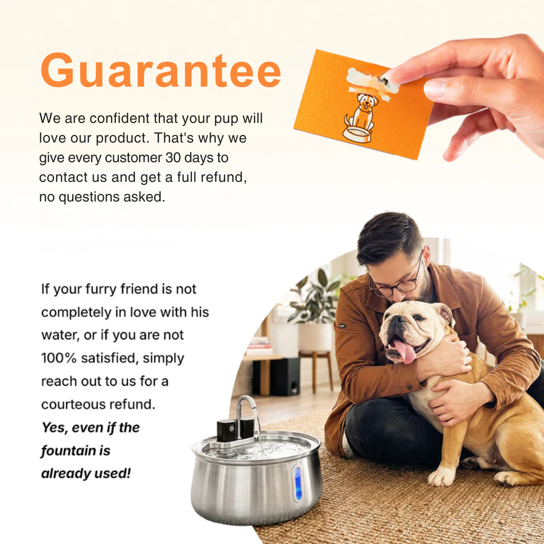 Pet Water Fountain