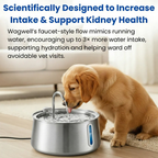 Pet Water Fountain
