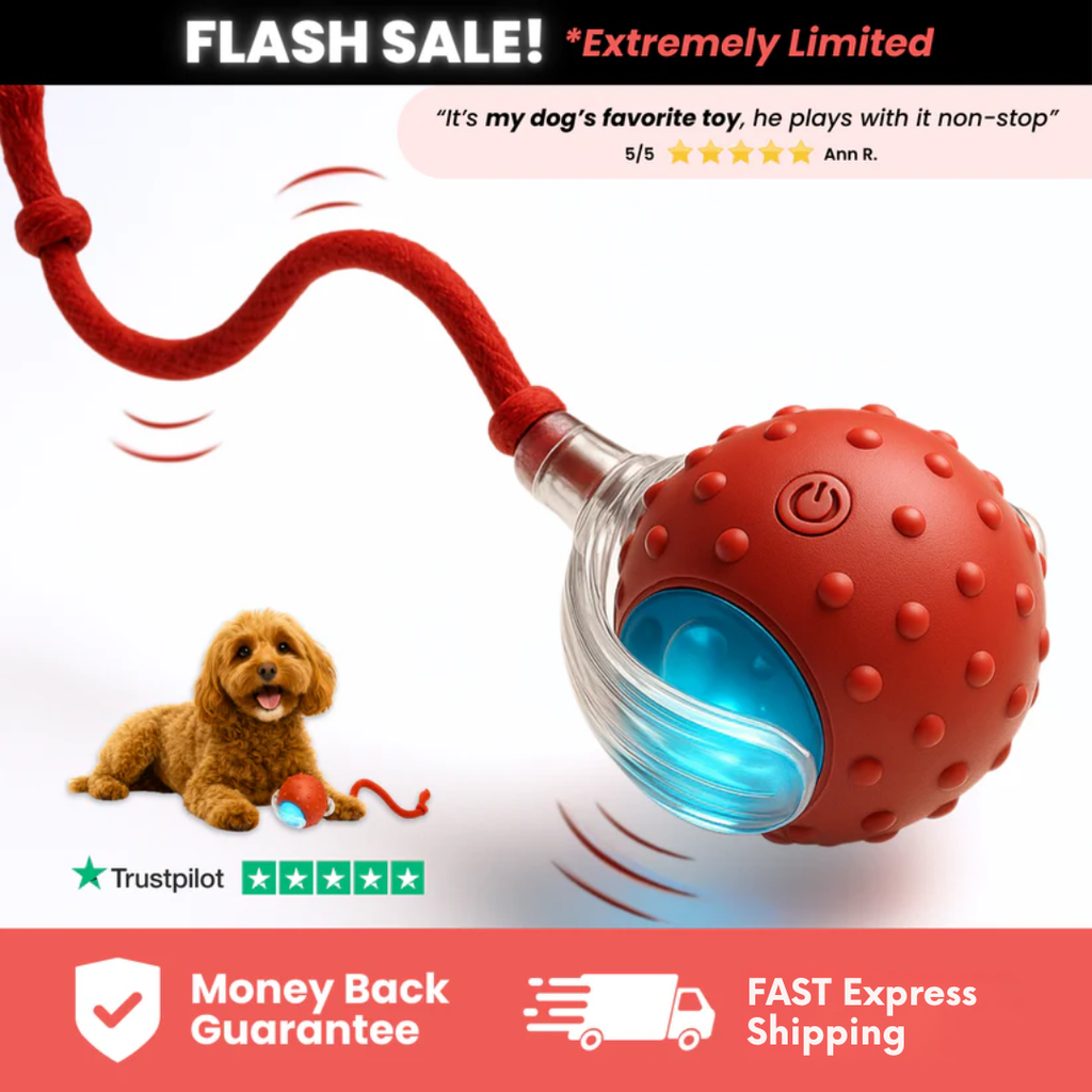 Petstone™ – Interactive Ball for Stimulation