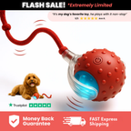 Petstone™ – Interactive Ball for Stimulation