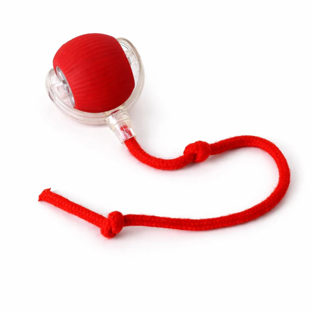 Petstone™ – Interactive Ball for Stimulation