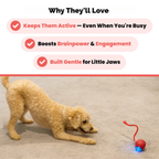 Petstone™ – Interactive Ball for Stimulation