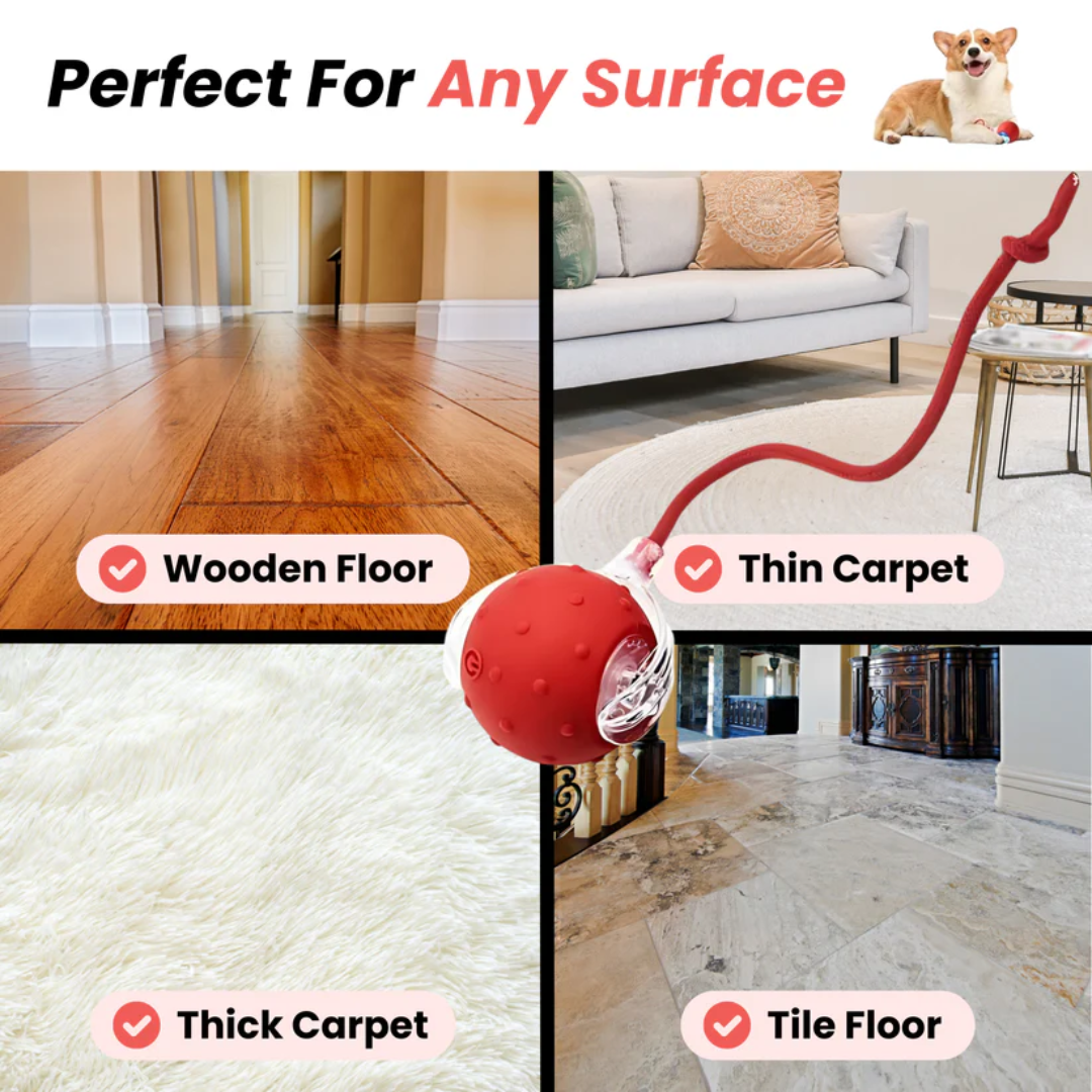 Petstone™ – Interactive Ball for Stimulation