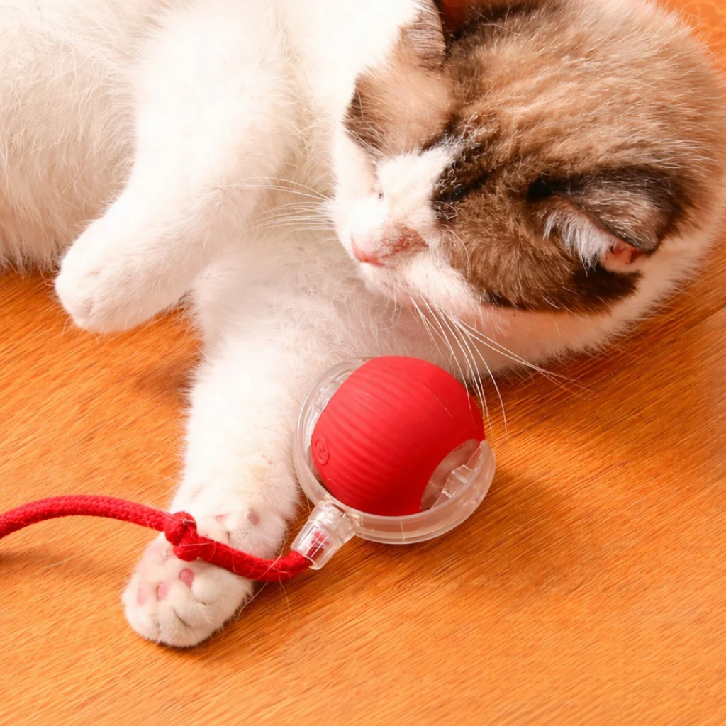 Petstone™ – Interactive Ball for Stimulation