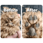 Petstone Paw Hair Trimmer