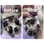 Petstone Paw Hair Trimmer