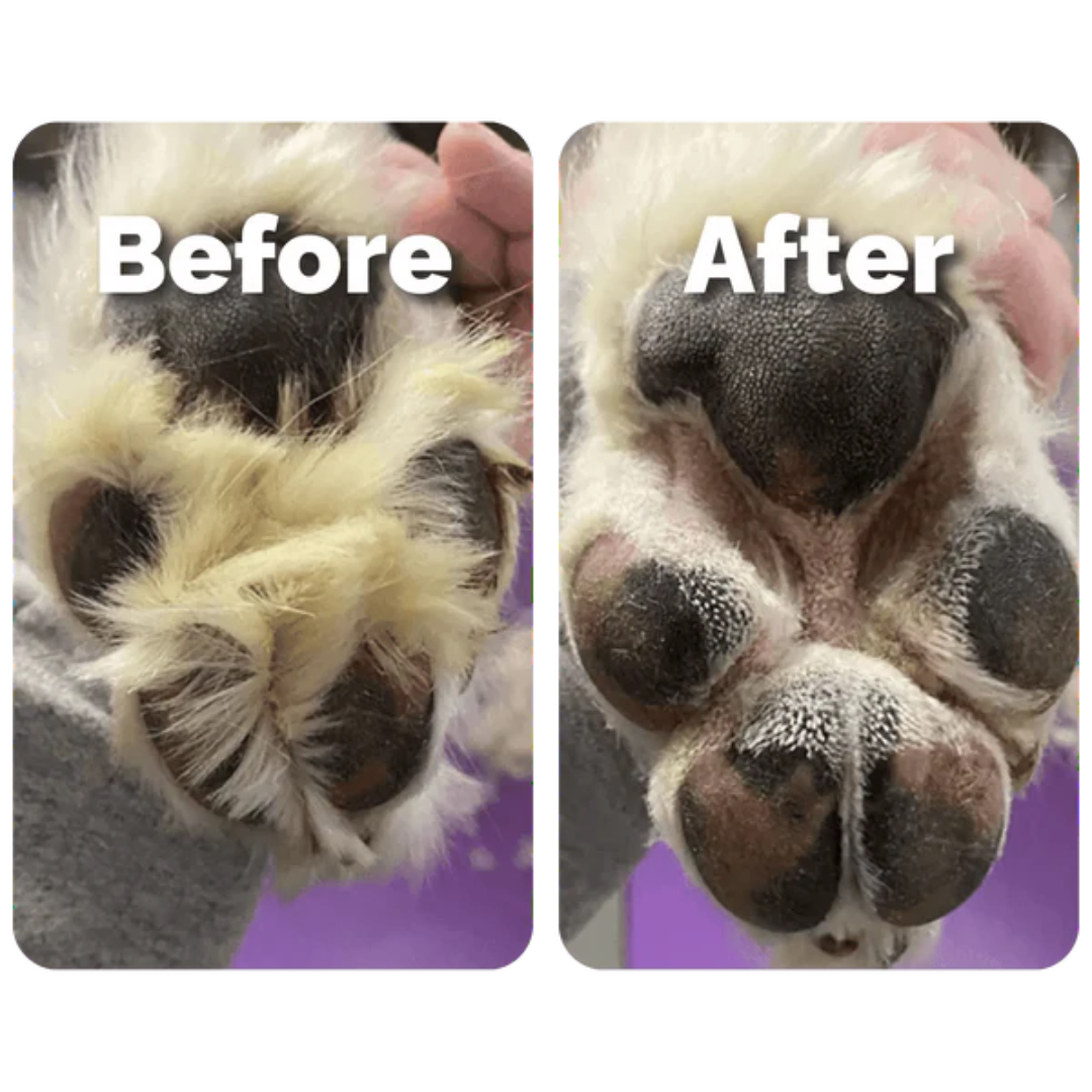 Petstone Paw Hair Trimmer