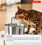 Stainless Steel Cat Water Fountain