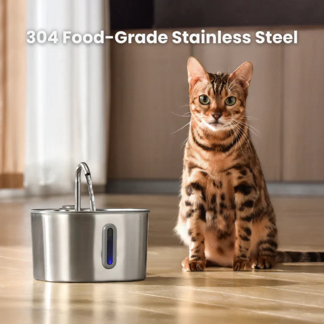 Stainless Steel Cat Water Fountain