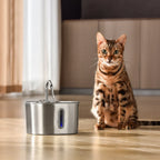 Stainless Steel Cat Water Fountain
