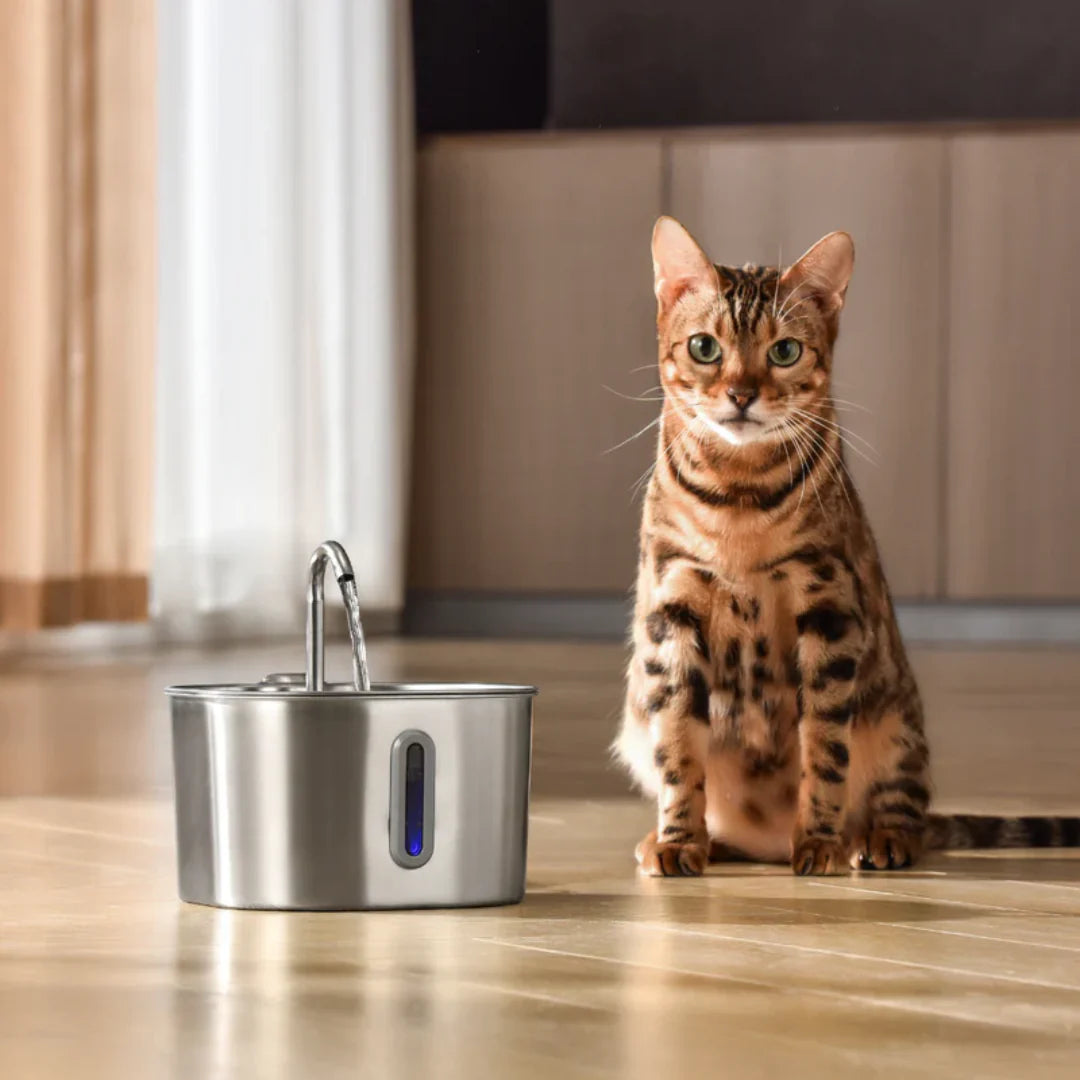 Stainless Steel Cat Water Fountain