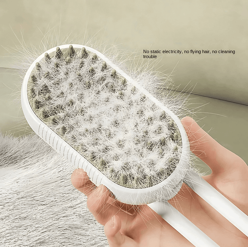 2-in-1 Steam Grooming & Massage Brush