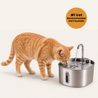 Stainless Steel Cat Water Fountain