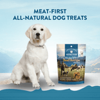 Addiction Beef Meaty Bites made without grains, gluten or soy, for dogs with sensitivities
