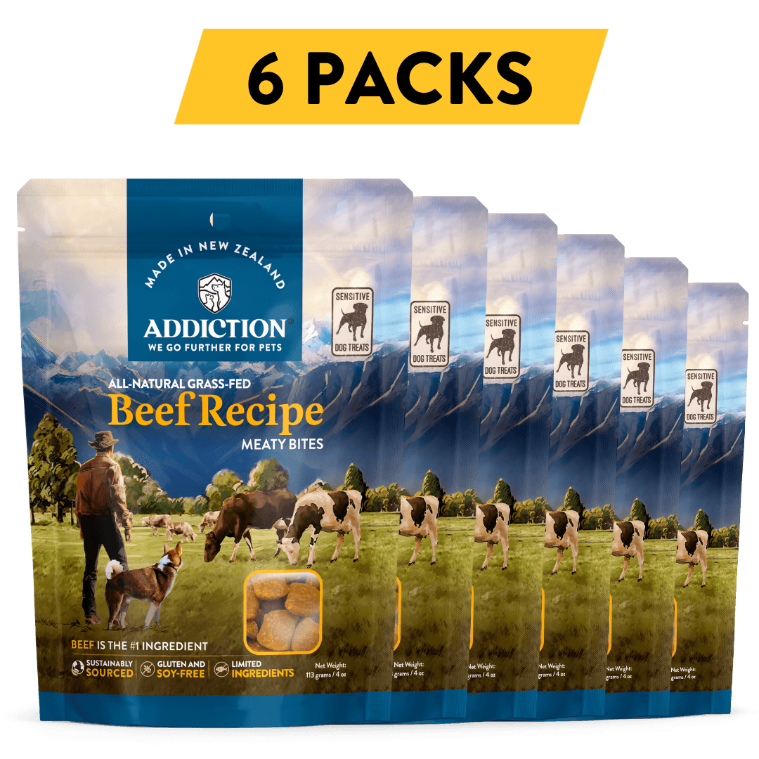 Addiction Beef Meaty Bites, pack of 6: six 4 oz bags of soft beef treats for training